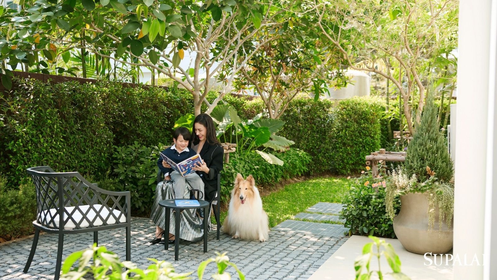 วิธีรับมือต้นไม้เพื่อนบ้านรุกล้ำเขตบ้านเรา แบบไม่ผิดใจ และไม่ผิดกฎหมาย-03.jpg